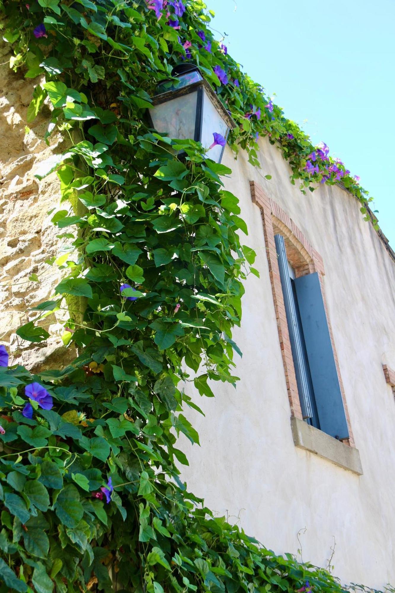 La Cite Secrete Villa Carcassonne Eksteriør billede
