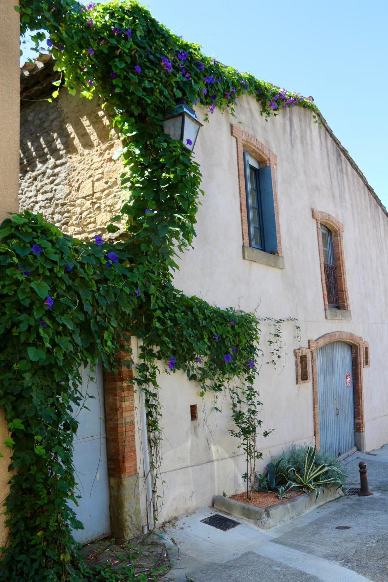 La Cite Secrete Villa Carcassonne Eksteriør billede