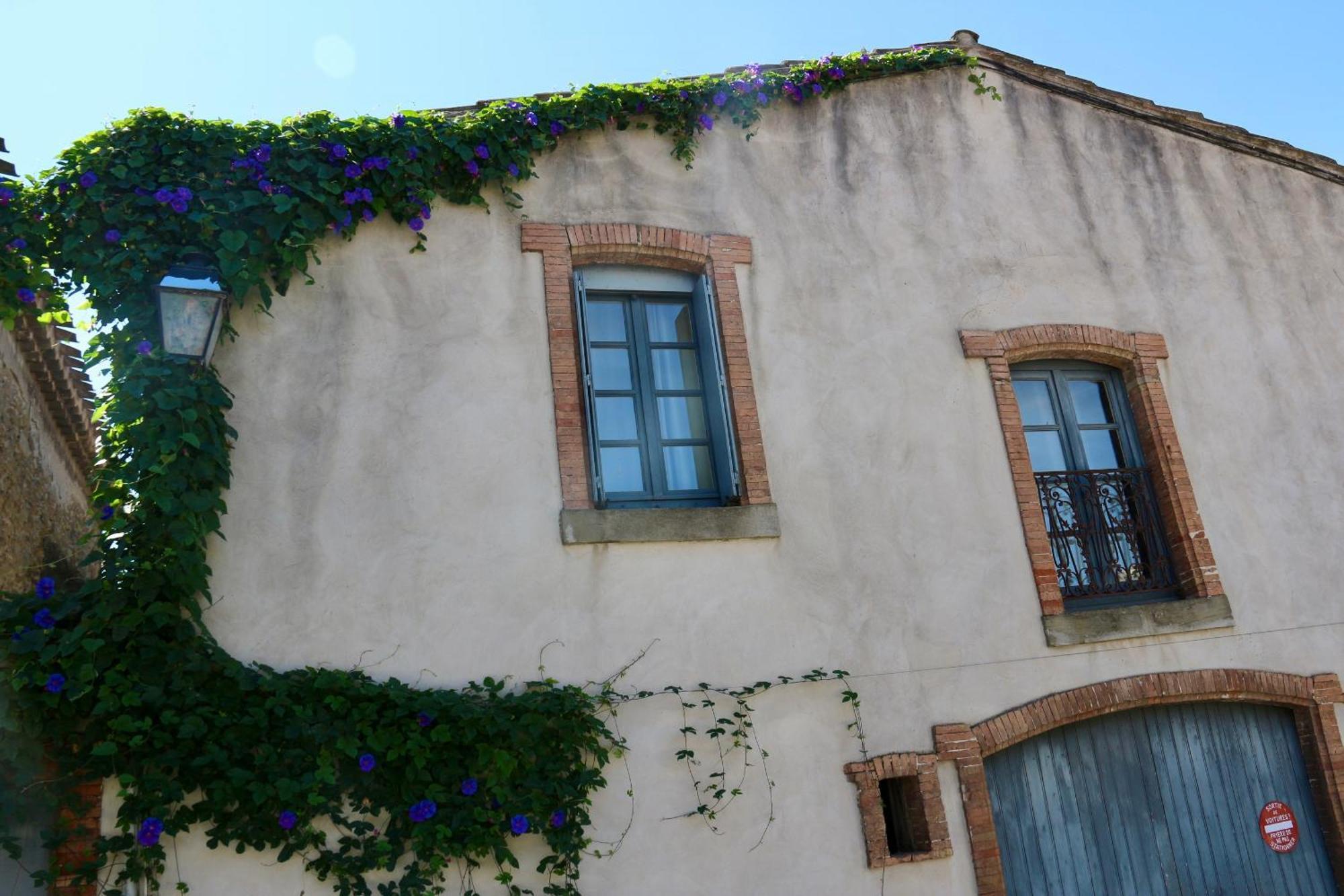 La Cite Secrete Villa Carcassonne Eksteriør billede